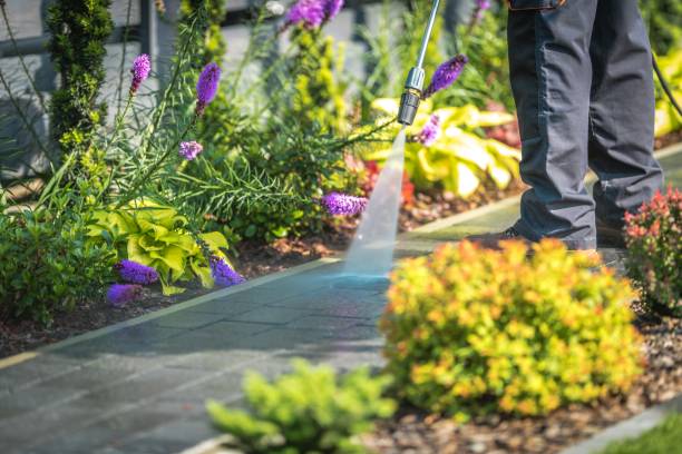 Trusted Kennedy, CA Pressure Washing Services Experts